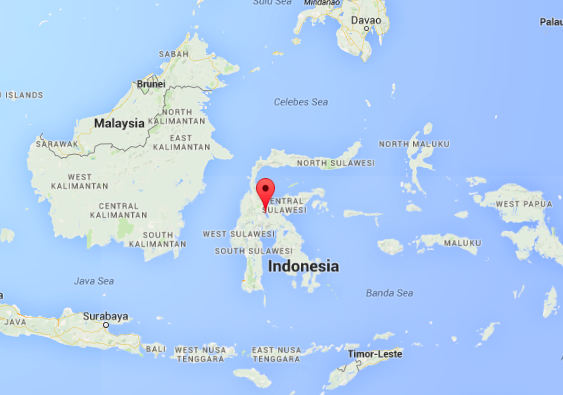 This is Sulawesi. It's a giant island next to Borneo. It's home to 17M people, about the same as New York.